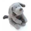 811265 - Doudou Musical Chien Gris Clair Fifi - Position Allongée 30Position Assis18 Cm -Born To Be Kids dimpel 811265 doudou musical chien gris clair fifi position allongee 30position assis18 cm 1400