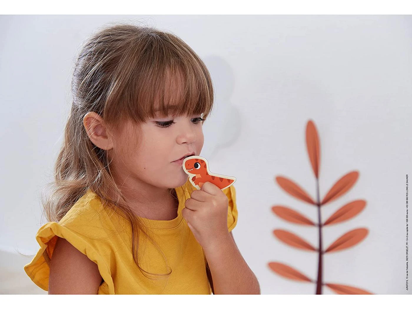 Janod J05839 - DINO - MAGNETS DINO 24 PCS 8 Janod J05839 - DINO - MAGNETS DINO 24 PCS – Image 6