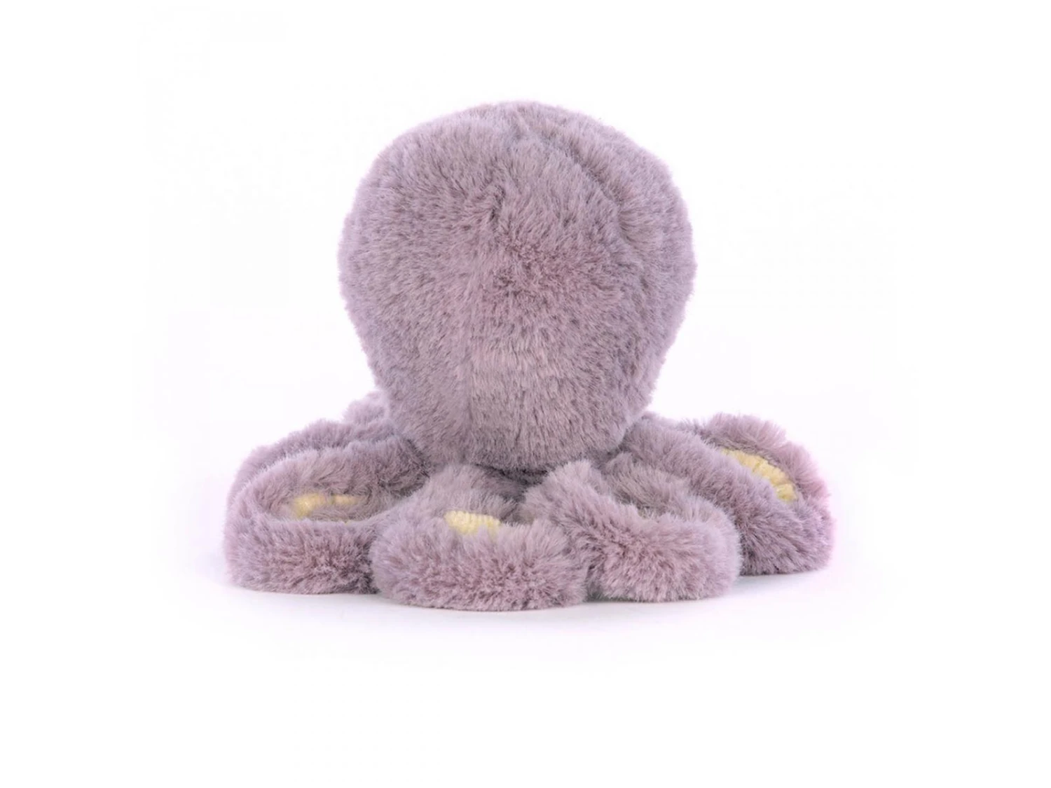 JELLYCAT AL4OC - Maya Octopus Baby - H : 14 Cm X L : 7 Cm 5 JELLYCAT AL4OC - Maya Octopus Baby - H : 14 Cm X L : 7 Cm – Image 3