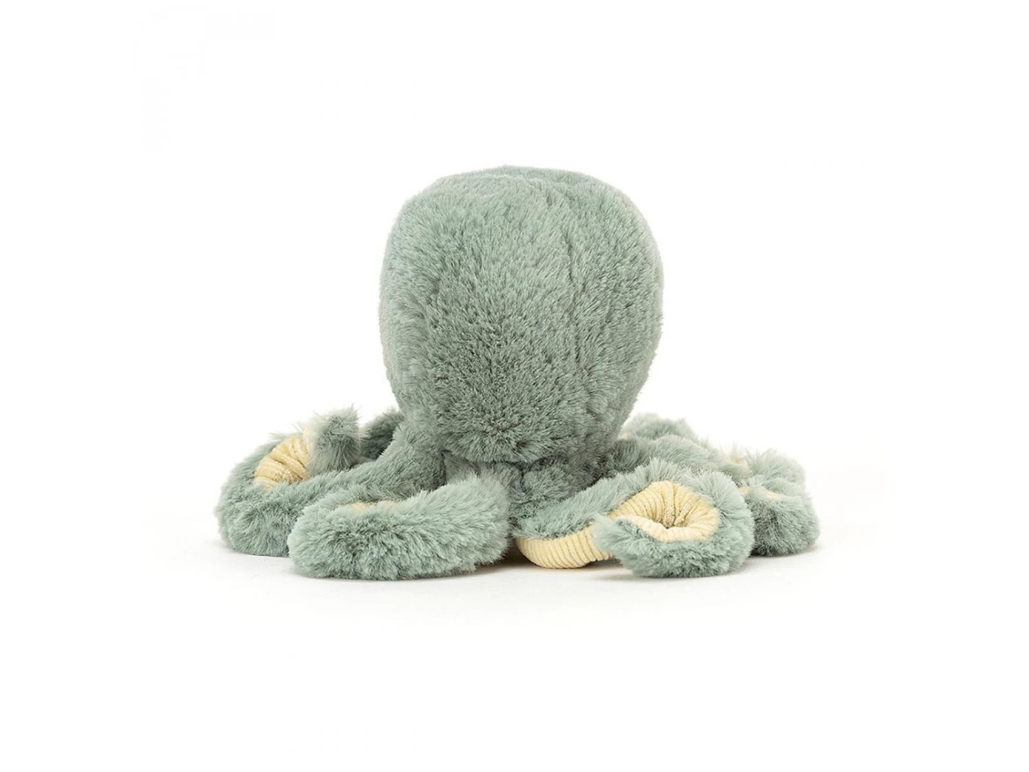 JELLYCAT ODYB4OC - Peluche Odyssey Octopus Baby - L : 7 Cm X H: 14 Cm 5 JELLYCAT ODYB4OC - Peluche Odyssey Octopus Baby - L : 7 Cm X H: 14 Cm – Image 3