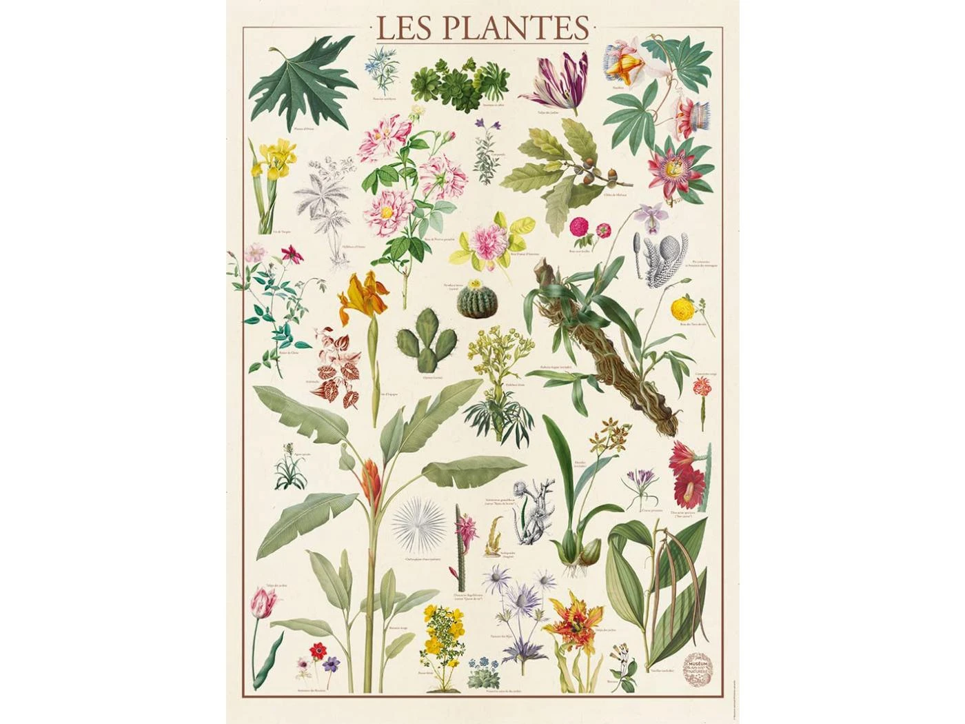 87309 - Puzzle Nathan 1500 Pièces - Les PlaNathantes / Muséum NathanatioNathanal D'Histoire Nathanaturelle 4 87309 - Puzzle Nathan 1500 Pièces - Les PlaNathantes / Muséum NathanatioNathanal D'Histoire Nathanaturelle – Image 2