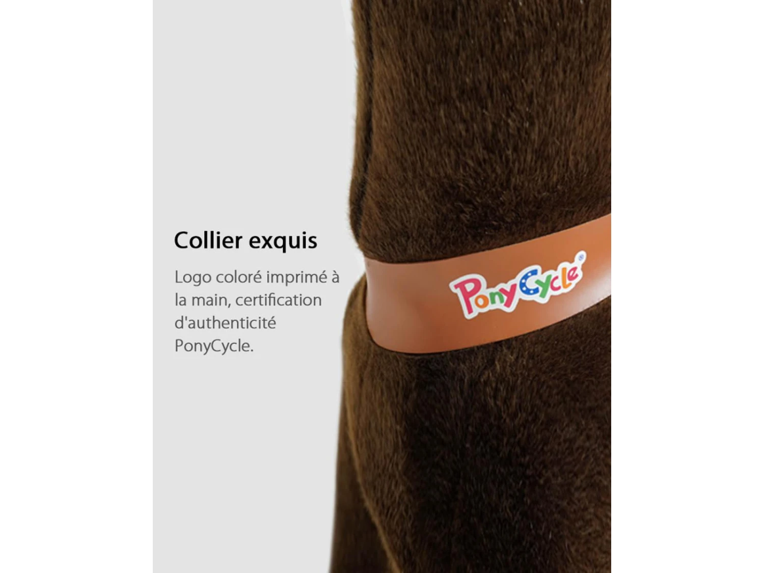 Ux321 - Ponycycle Cheval Marron Chocolat Avec Sabot Blanc, Frein Et Son à Monter Age 3-5 Ans - Hauteur Assise (cm) 48 14 Ux321 - Ponycycle Cheval Marron Chocolat Avec Sabot Blanc, Frein Et Son à Monter Age 3-5 Ans - Hauteur Assise (cm) 48 – Image 12