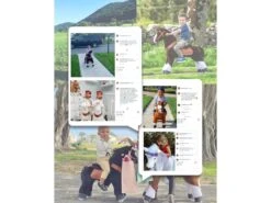 Ux321 - Ponycycle Cheval Marron Chocolat Avec Sabot Blanc, Frein Et Son à Monter Age 3-5 Ans - Hauteur Assise (cm) 48 35 Ux321 - Ponycycle Cheval Marron Chocolat Avec Sabot Blanc, Frein Et Son à Monter Age 3-5 Ans - Hauteur Assise (cm) 48 -Born To Be Kids ponycycle ux321 ponycycle cheval marron chocolat avec sabot blanc frein et son a monter age 3 5 ans hauteur assise cm 48 1600 13