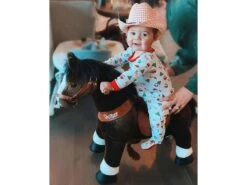 Ux321 - Ponycycle Cheval Marron Chocolat Avec Sabot Blanc, Frein Et Son à Monter Age 3-5 Ans - Hauteur Assise (cm) 48 39 Ux321 - Ponycycle Cheval Marron Chocolat Avec Sabot Blanc, Frein Et Son à Monter Age 3-5 Ans - Hauteur Assise (cm) 48 -Born To Be Kids ponycycle ux321 ponycycle cheval marron chocolat avec sabot blanc frein et son a monter age 3 5 ans hauteur assise cm 48 1600 17