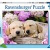 Ravensburger 13235 - Puzzles Enfants - Puzzle 300 Pièces XXL - Mignons Chiots Dans La Corbeille -Born To Be Kids ravensburger 13235 puzzles enfants puzzle 300 pieces xxl mignons chiots dans la corbeille ravensburger 900