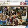Ravensburger 15170 - Puzzles Adultes - Puzzle 1000 Pièces - Harry Potter Contre Voldemort 2 Ravensburger 15170 - Puzzles Adultes - Puzzle 1000 Pièces - Harry Potter Contre Voldemort -Born To Be Kids ravensburger 15170 puzzles adultes puzzle 1000 pieces harry potter contre voldemort fantomes sorcieres et magiciens 900