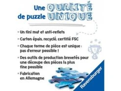 Ravensburger 15614 - Puzzles Adultes - Puzzle 1000 Pièces Art Collection - La Nuit étoilée Sur Le Rhône / Vincent Van Gogh -Born To Be Kids ravensburger 15614 puzzles adultes puzzle 1000 pieces art collection la nuit etoilee sur le rhone vincent van gogh puzzles par theme adultes 600 1