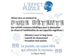 Ravensburger 15614 - Puzzles Adultes - Puzzle 1000 Pièces Art Collection - La Nuit étoilée Sur Le Rhône / Vincent Van Gogh -Born To Be Kids ravensburger 15614 puzzles adultes puzzle 1000 pieces art collection la nuit etoilee sur le rhone vincent van gogh puzzles par theme adultes 600 2