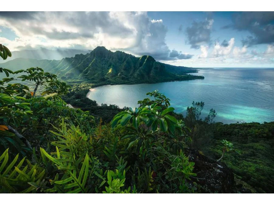 Ravensburger 16106 - Puzzles Adultes - Puzzle 5000 Pièces - Vue Sur Hawaï 4 Ravensburger 16106 - Puzzles Adultes - Puzzle 5000 Pièces - Vue Sur Hawaï – Image 2