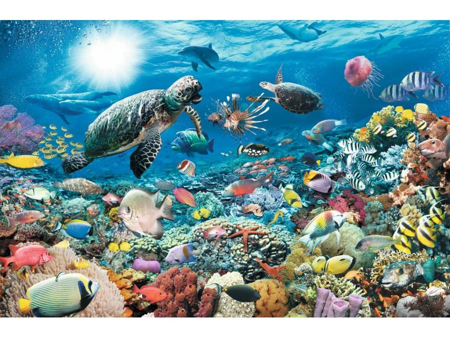Ravensburger 17426 - Puzzles Adultes - Puzzle 5000 Pièces - Monde Marin 5 Ravensburger 17426 - Puzzles Adultes - Puzzle 5000 Pièces - Monde Marin – Image 3