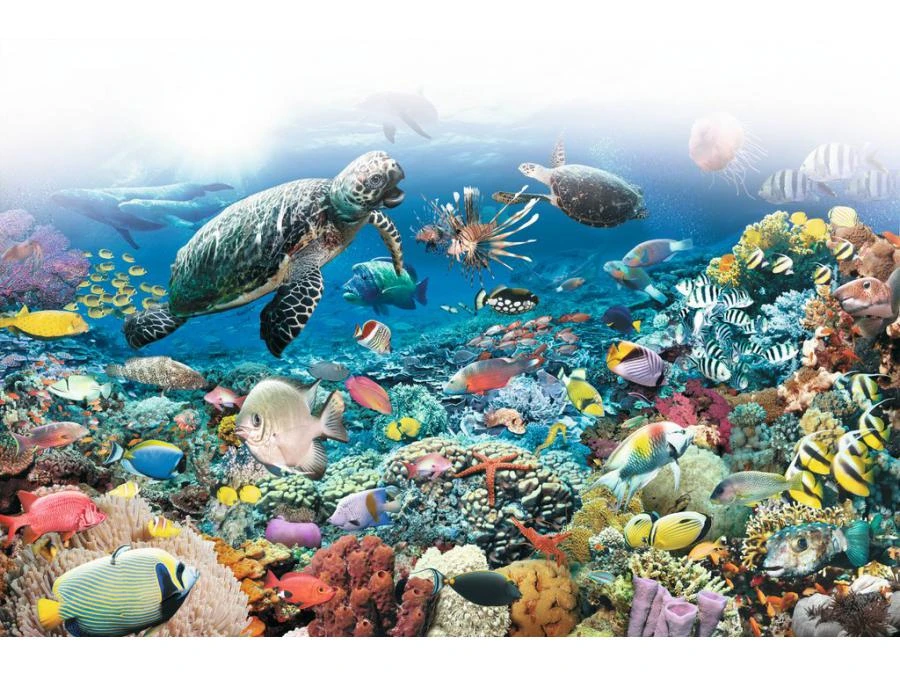 Ravensburger 17426 - Puzzles Adultes - Puzzle 5000 Pièces - Monde Marin 6 Ravensburger 17426 - Puzzles Adultes - Puzzle 5000 Pièces - Monde Marin – Image 4