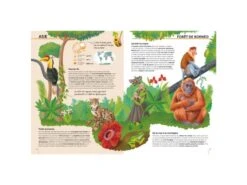 306127 - Atlas De La Biodiversité - Ecosystèmes à Protéger -Born To Be Kids sassi 306127 atlas de la biodiversite ecosystemes a proteger 900 2