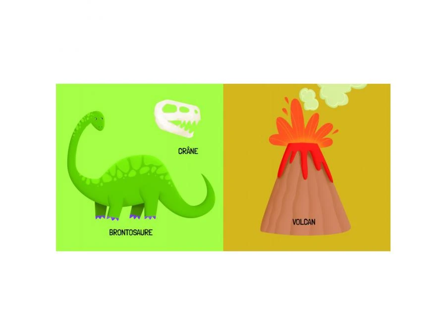 307551 - Livre Et Puzzle - Q-Box - Les Dinosaures 7 307551 - Livre Et Puzzle - Q-Box - Les Dinosaures – Image 5