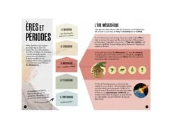 308886 - Livre Et Maquette 3D Dinosaures - Le T-rex 10 308886 - Livre Et Maquette 3D Dinosaures - Le T-rex -Born To Be Kids sassi 308886 livre et maquette 3d dinosaures le t rex 900 3