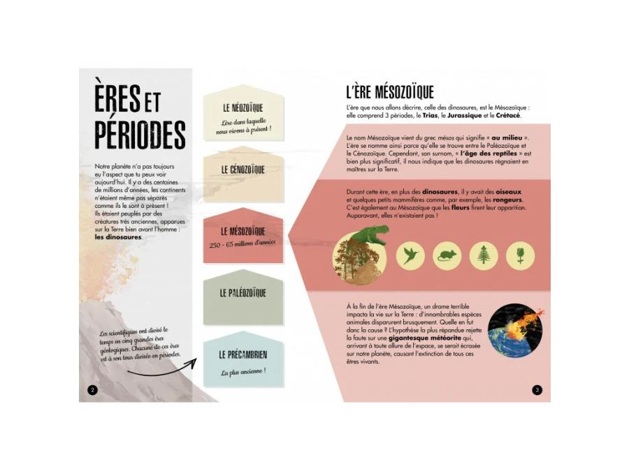 308886 - Livre Et Maquette 3D Dinosaures - Le T-rex 6 308886 - Livre Et Maquette 3D Dinosaures - Le T-rex – Image 4