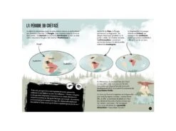 308886 - Livre Et Maquette 3D Dinosaures - Le T-rex 11 308886 - Livre Et Maquette 3D Dinosaures - Le T-rex -Born To Be Kids sassi 308886 livre et maquette 3d dinosaures le t rex 900 4