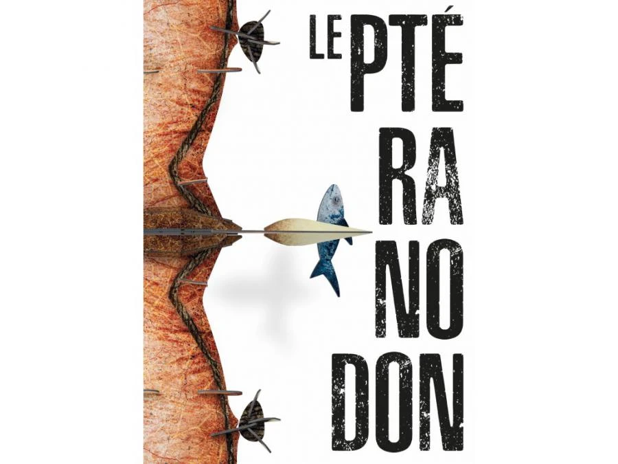 308992 - Livre Et Maquette 3D Dinosaures - Le Ptéranodon 5 308992 - Livre Et Maquette 3D Dinosaures - Le Ptéranodon – Image 3