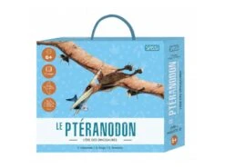308992 - Livre Et Maquette 3D Dinosaures - Le Ptéranodon