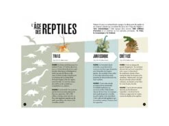 308992 - Livre Et Maquette 3D Dinosaures - Le Ptéranodon 10 308992 - Livre Et Maquette 3D Dinosaures - Le Ptéranodon -Born To Be Kids sassi 308992 livre et maquette 3d dinosaures le pteranodon 900 3