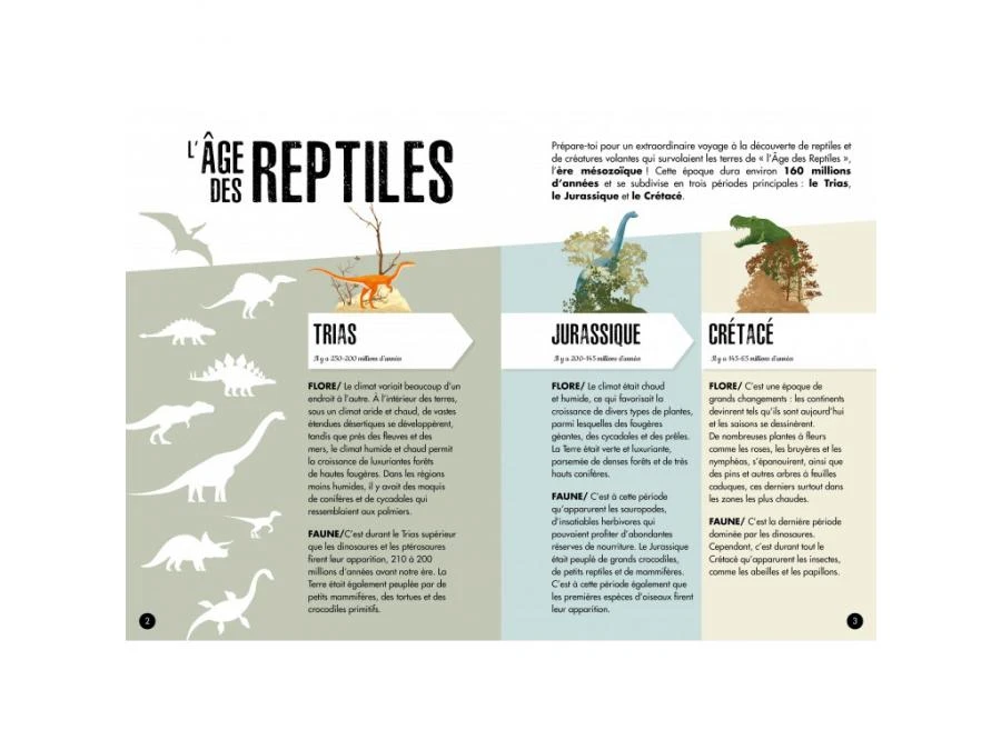 308992 - Livre Et Maquette 3D Dinosaures - Le Ptéranodon 6 308992 - Livre Et Maquette 3D Dinosaures - Le Ptéranodon – Image 4