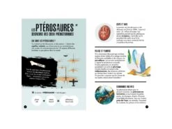 308992 - Livre Et Maquette 3D Dinosaures - Le Ptéranodon 11 308992 - Livre Et Maquette 3D Dinosaures - Le Ptéranodon -Born To Be Kids sassi 308992 livre et maquette 3d dinosaures le pteranodon 900 4