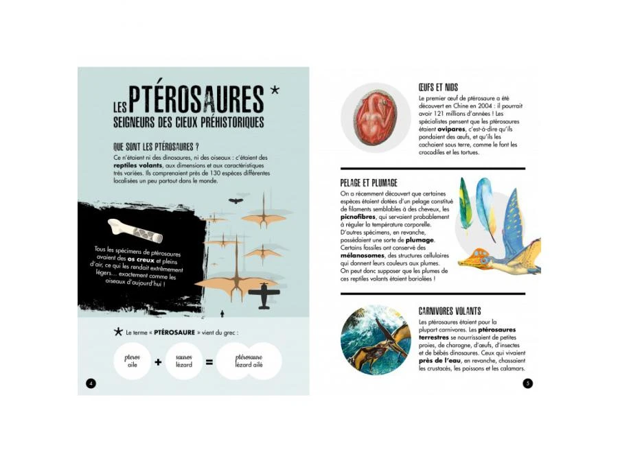 308992 - Livre Et Maquette 3D Dinosaures - Le Ptéranodon 7 308992 - Livre Et Maquette 3D Dinosaures - Le Ptéranodon – Image 5