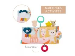 850804 - Livre Des Découvertes Sophie La Girafe